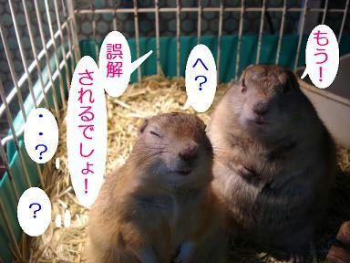 DSC08958.JPG