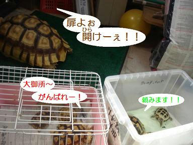DSC08984.JPG