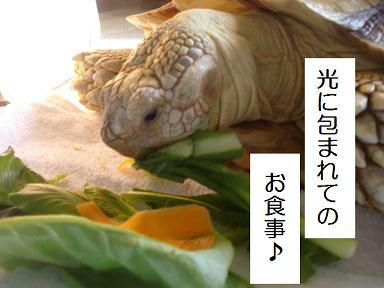 DSC09006.JPG
