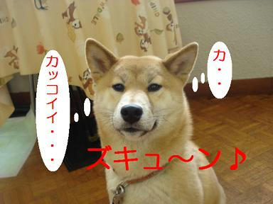 DSC09037.JPG