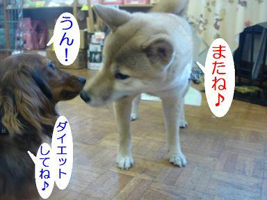 DSC09014.JPG