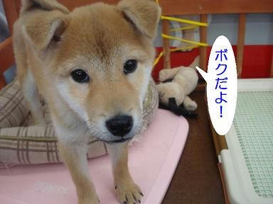 DSC09054.JPG