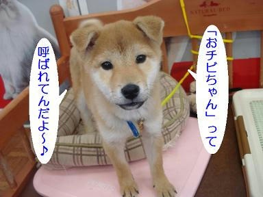 DSC09055.JPG