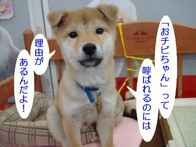 DSC09058.JPG
