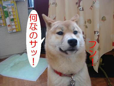 DSC09068.JPG