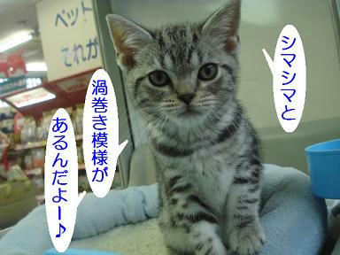 DSC09130.JPG