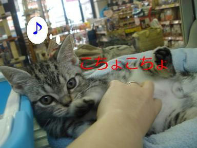 DSC09131.JPG