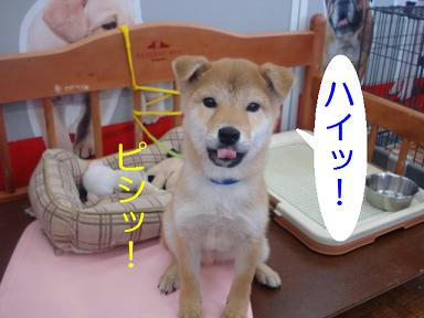 DSC09145.JPG
