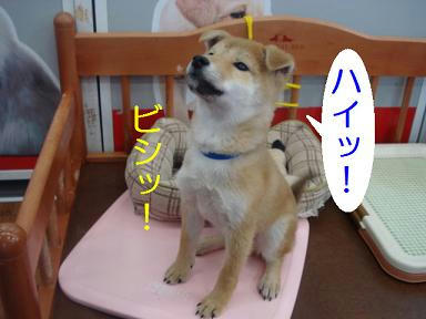 81d26ac5.jpeg