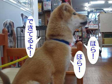 DSC09148.JPG