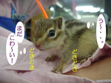 DSC09172.JPG