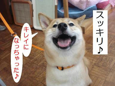 DSC09227.JPG