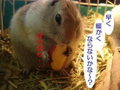 DSC09250.JPG