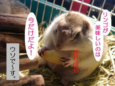 DSC09254.JPG