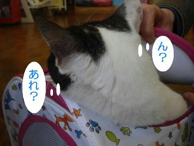 DSC09337.JPG