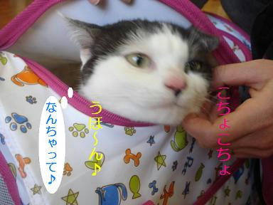 DSC09340.JPG
