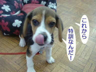 DSC09408.JPG