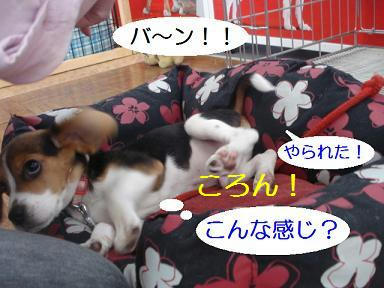 DSC09389.JPG