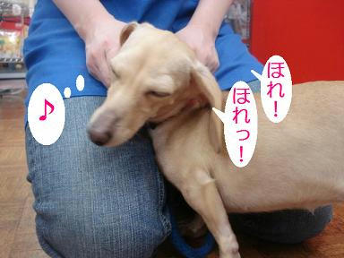 DSC09505.JPG