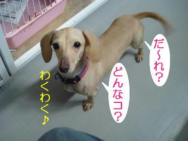 DSC09712.JPG