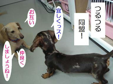 DSC09718.JPG