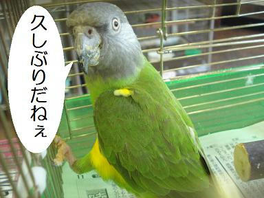 DSC09438.JPG