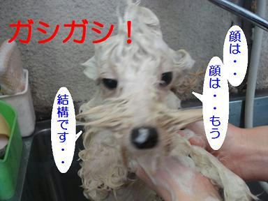 DSC09961.JPG