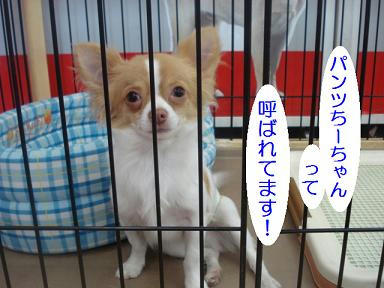 DSC00040.JPG