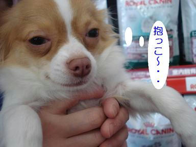 DSC00065.JPG