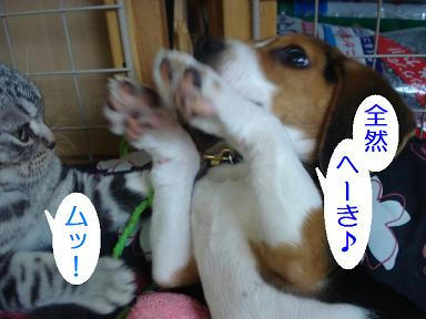 DSC00087.JPG