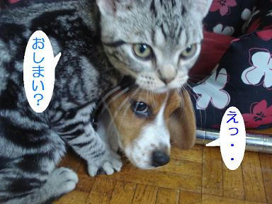 DSC00080.JPG