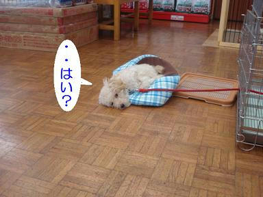 DSC00469.JPG