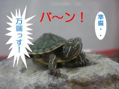 DSC00445.JPG
