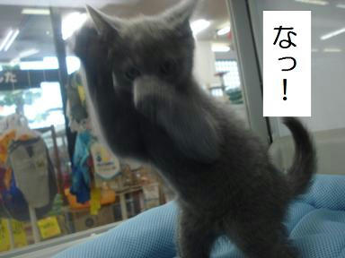 DSC00626.JPG