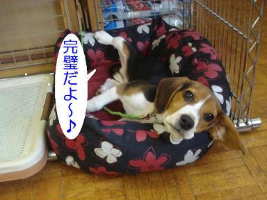 DSC00551.JPG