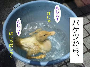 DSC00851.JPG