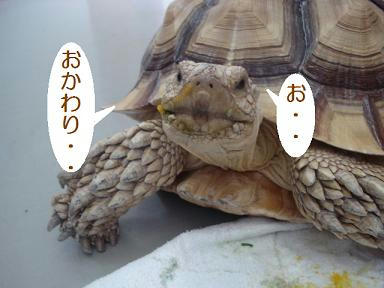 DSC00883.JPG