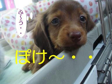 DSC00821.JPG