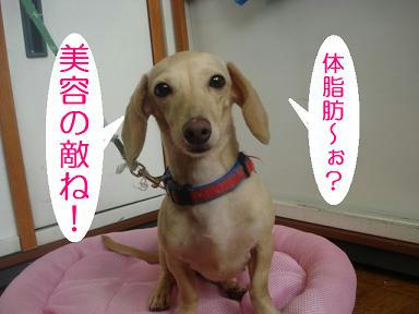 DSC00889.JPG
