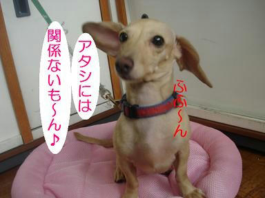 DSC00890.JPG