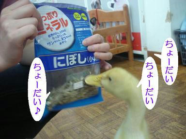 DSC00937.JPG