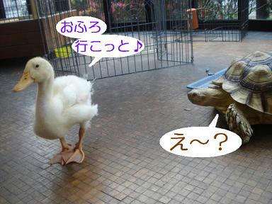 b1ddfac3.jpeg