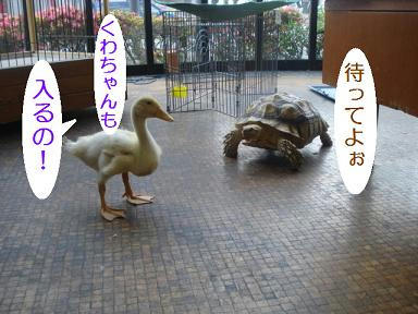 DSC01145.JPG