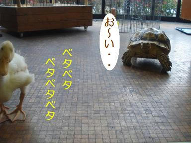 DSC01146.JPG