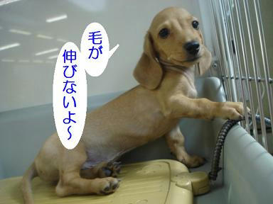 DSC01122.JPG