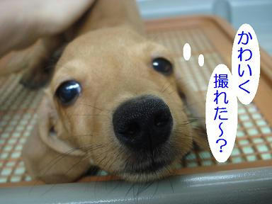 DSC01114.JPG