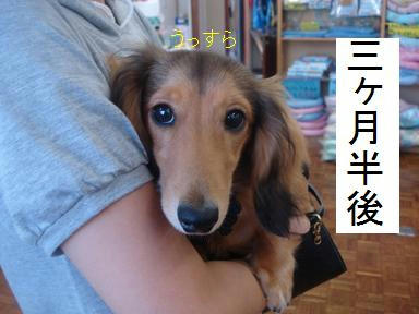 DSC01187.JPG