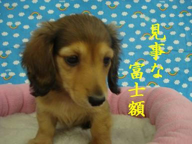 DSC08012.JPG