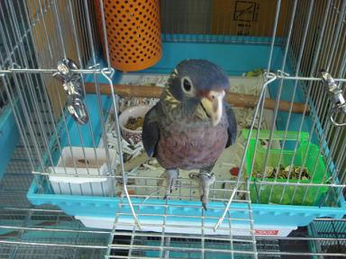 DSC01254.JPG