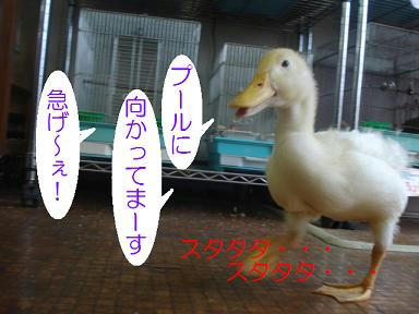 DSC01453.JPG